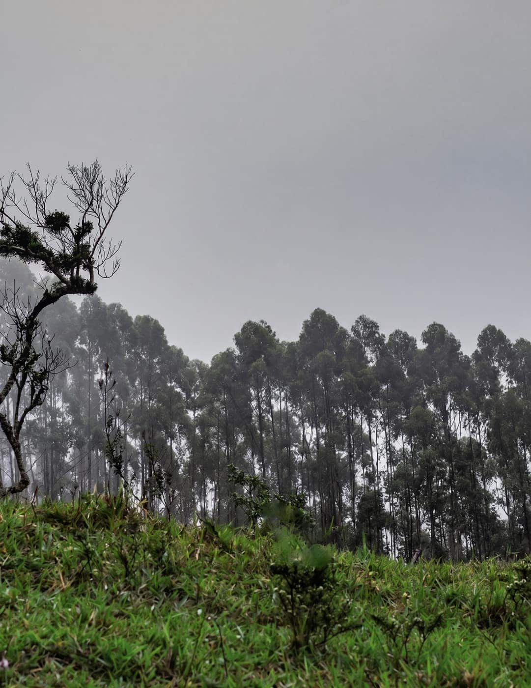 Paisagem da WTR Serra do Mar Mid 17K 2026