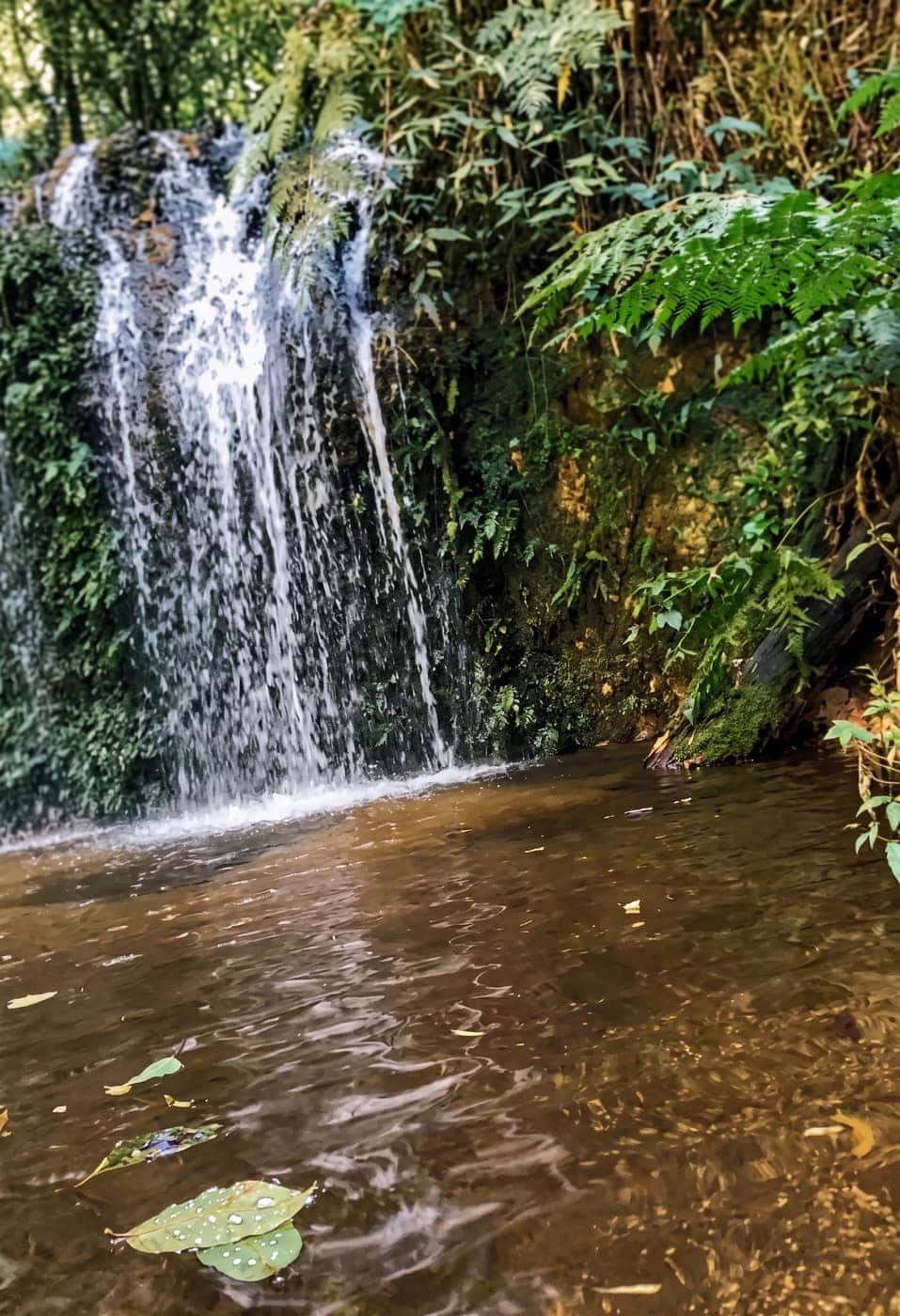 Paisagem da Trail in Motion 21K 2026