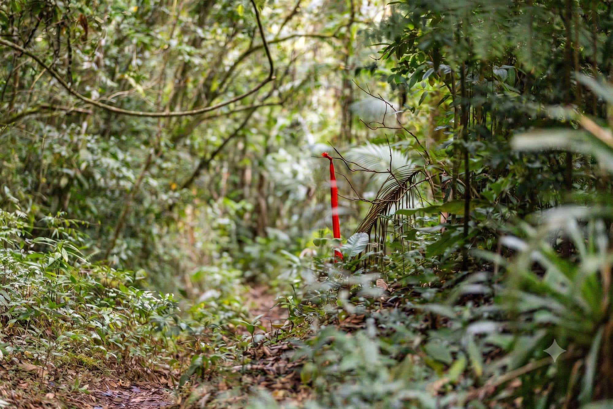 Paisagem da Paraty Brazil by UTMB PTR 25 2026