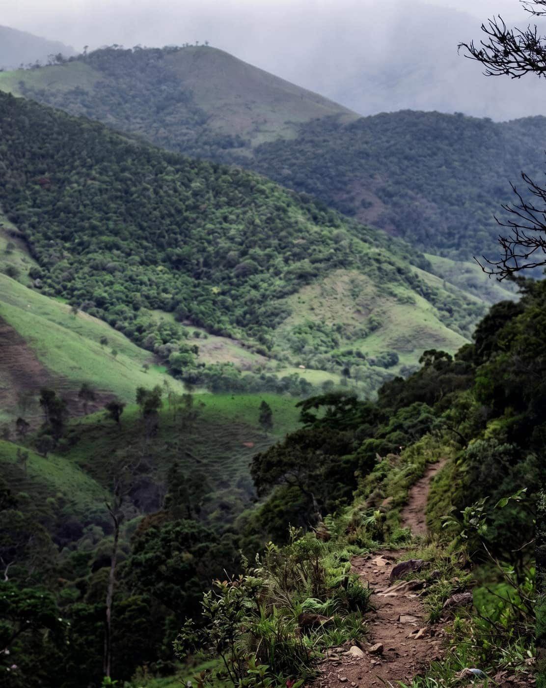 Paisagem da WTR Serra do Mar Long 30K 2026
